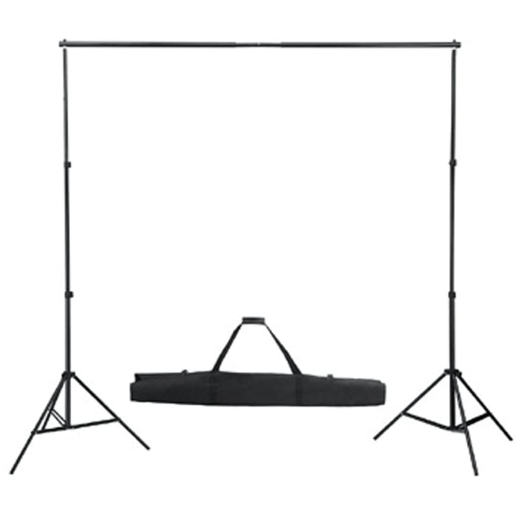 vidaXL Achtergrondsysteem 300x300 cm zwart